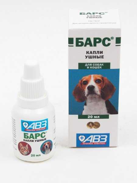 Ушной клещ у собак — описание, опасность, симптомы, осложнение, эффективное лечение и защита животных