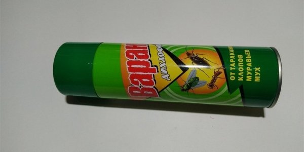 Средство от мух в помещении - лучшие промышленные и народные способы для борьбы с насекомыми