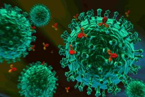 Нет антител к коронавирусу после болезни – это плохо или нет?