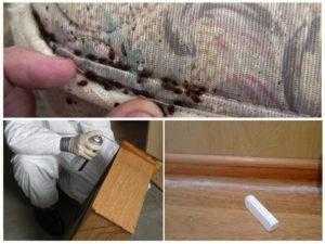 Популярные средства от клопов в домашних условиях: чем вывести насекомых в квартире, преимущества и недостатки разных химикатов