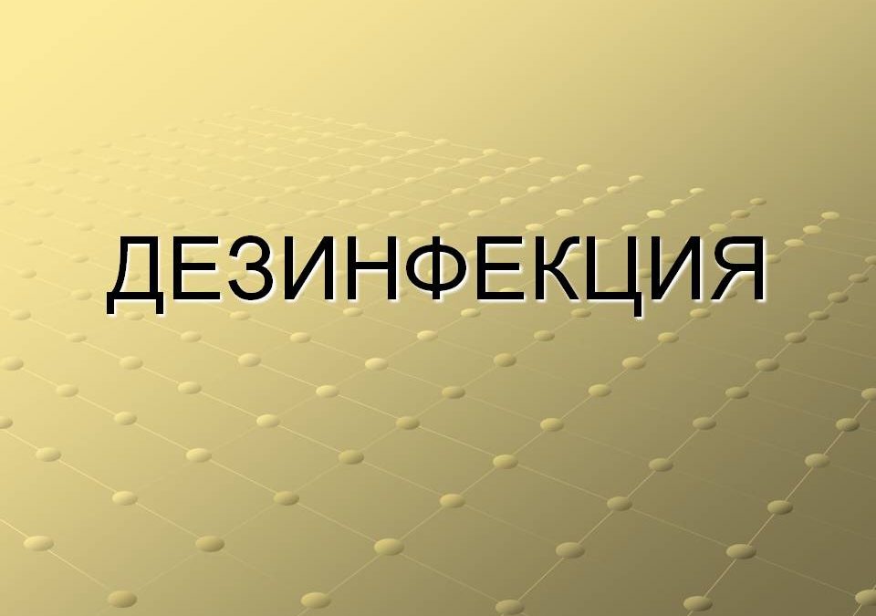 Дезинфекция тараканов в квартире