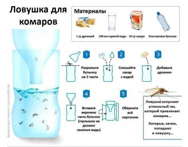 Простая ловушка для комаров из пластиковой бутылки