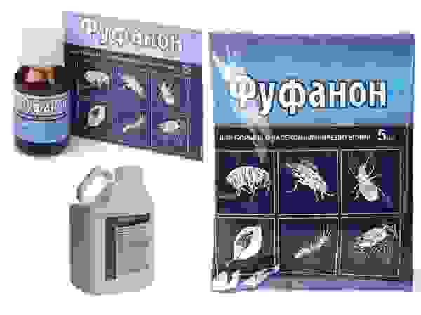 ΠΎΠ³ΡΡΡΡ ΡΠ΅ΡΠ½ΡΠ΅ ΠΌΠ°Π»Π΅Π½ΡΠΊΠΈΠ΅ Π±ΡΠΊΠ°ΡΠΊΠΈ. Π‘ΠΌΠΎΡΡΠ΅ΡΡ ΡΠΎΡΠΎ ΠΎΠ³ΡΡΡΡ ΡΠ΅ΡΠ½ΡΠ΅ ΠΌΠ°Π»Π΅Π½ΡΠΊΠΈΠ΅ Π±ΡΠΊΠ°ΡΠΊΠΈ. Π‘ΠΌΠΎΡΡΠ΅ΡΡ ΠΊΠ°ΡΡΠΈΠ½ΠΊΡ ΠΎΠ³ΡΡΡΡ ΡΠ΅ΡΠ½ΡΠ΅ ΠΌΠ°Π»Π΅Π½ΡΠΊΠΈΠ΅ Π±ΡΠΊΠ°ΡΠΊΠΈ. ΠΠ°ΡΡΠΈΠ½ΠΊΠ° ΠΏΡΠΎ ΠΎΠ³ΡΡΡΡ ΡΠ΅ΡΠ½ΡΠ΅ ΠΌΠ°Π»Π΅Π½ΡΠΊΠΈΠ΅ Π±ΡΠΊΠ°ΡΠΊΠΈ. Π€ΠΎΡΠΎ ΠΎΠ³ΡΡΡΡ ΡΠ΅ΡΠ½ΡΠ΅ ΠΌΠ°Π»Π΅Π½ΡΠΊΠΈΠ΅ Π±ΡΠΊΠ°ΡΠΊΠΈ ΠΎΠ³ΡΡΡΡ ΡΠ΅ΡΠ½ΡΠ΅ ΠΌΠ°Π»Π΅Π½ΡΠΊΠΈΠ΅ Π±ΡΠΊΠ°ΡΠΊΠΈ. Π‘ΠΌΠΎΡΡΠ΅ΡΡ ΡΠΎΡΠΎ ΠΎΠ³ΡΡΡΡ ΡΠ΅ΡΠ½ΡΠ΅ ΠΌΠ°Π»Π΅Π½ΡΠΊΠΈΠ΅ Π±ΡΠΊΠ°ΡΠΊΠΈ. Π‘ΠΌΠΎΡΡΠ΅ΡΡ ΠΊΠ°ΡΡΠΈΠ½ΠΊΡ ΠΎΠ³ΡΡΡΡ ΡΠ΅ΡΠ½ΡΠ΅ ΠΌΠ°Π»Π΅Π½ΡΠΊΠΈΠ΅ Π±ΡΠΊΠ°ΡΠΊΠΈ. ΠΠ°ΡΡΠΈΠ½ΠΊΠ° ΠΏΡΠΎ ΠΎΠ³ΡΡΡΡ ΡΠ΅ΡΠ½ΡΠ΅ ΠΌΠ°Π»Π΅Π½ΡΠΊΠΈΠ΅ Π±ΡΠΊΠ°ΡΠΊΠΈ. Π€ΠΎΡΠΎ ΠΎΠ³ΡΡΡΡ ΡΠ΅ΡΠ½ΡΠ΅ ΠΌΠ°Π»Π΅Π½ΡΠΊΠΈΠ΅ Π±ΡΠΊΠ°ΡΠΊΠΈ