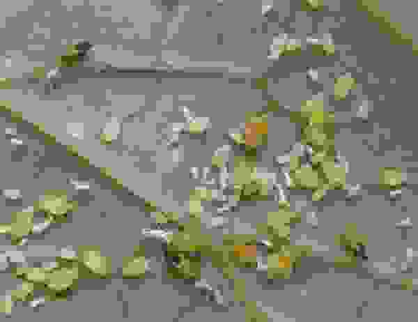 ΠΊΠ°ΠΊ ΡΠ½ΠΈΡΡΠΎΠΆΠΈΡΡ ΡΠ»Ρ Π½Π° ΠΎΠ³ΡΡΡΠ°Ρ
Π² Π΄ΠΎΠΌΠ°ΡΠ½ΠΈΡ
ΡΡΠ»ΠΎΠ²ΠΈΡΡ
. Π‘ΠΌΠΎΡΡΠ΅ΡΡ ΡΠΎΡΠΎ ΠΊΠ°ΠΊ ΡΠ½ΠΈΡΡΠΎΠΆΠΈΡΡ ΡΠ»Ρ Π½Π° ΠΎΠ³ΡΡΡΠ°Ρ
Π² Π΄ΠΎΠΌΠ°ΡΠ½ΠΈΡ
ΡΡΠ»ΠΎΠ²ΠΈΡΡ
. Π‘ΠΌΠΎΡΡΠ΅ΡΡ ΠΊΠ°ΡΡΠΈΠ½ΠΊΡ ΠΊΠ°ΠΊ ΡΠ½ΠΈΡΡΠΎΠΆΠΈΡΡ ΡΠ»Ρ Π½Π° ΠΎΠ³ΡΡΡΠ°Ρ
Π² Π΄ΠΎΠΌΠ°ΡΠ½ΠΈΡ
ΡΡΠ»ΠΎΠ²ΠΈΡΡ
. ΠΠ°ΡΡΠΈΠ½ΠΊΠ° ΠΏΡΠΎ ΠΊΠ°ΠΊ ΡΠ½ΠΈΡΡΠΎΠΆΠΈΡΡ ΡΠ»Ρ Π½Π° ΠΎΠ³ΡΡΡΠ°Ρ
Π² Π΄ΠΎΠΌΠ°ΡΠ½ΠΈΡ
ΡΡΠ»ΠΎΠ²ΠΈΡΡ
. Π€ΠΎΡΠΎ ΠΊΠ°ΠΊ ΡΠ½ΠΈΡΡΠΎΠΆΠΈΡΡ ΡΠ»Ρ Π½Π° ΠΎΠ³ΡΡΡΠ°Ρ
Π² Π΄ΠΎΠΌΠ°ΡΠ½ΠΈΡ
ΡΡΠ»ΠΎΠ²ΠΈΡΡ
ΠΊΠ°ΠΊ ΡΠ½ΠΈΡΡΠΎΠΆΠΈΡΡ ΡΠ»Ρ Π½Π° ΠΎΠ³ΡΡΡΠ°Ρ
Π² Π΄ΠΎΠΌΠ°ΡΠ½ΠΈΡ
ΡΡΠ»ΠΎΠ²ΠΈΡΡ
. Π‘ΠΌΠΎΡΡΠ΅ΡΡ ΡΠΎΡΠΎ ΠΊΠ°ΠΊ ΡΠ½ΠΈΡΡΠΎΠΆΠΈΡΡ ΡΠ»Ρ Π½Π° ΠΎΠ³ΡΡΡΠ°Ρ
Π² Π΄ΠΎΠΌΠ°ΡΠ½ΠΈΡ
ΡΡΠ»ΠΎΠ²ΠΈΡΡ
. Π‘ΠΌΠΎΡΡΠ΅ΡΡ ΠΊΠ°ΡΡΠΈΠ½ΠΊΡ ΠΊΠ°ΠΊ ΡΠ½ΠΈΡΡΠΎΠΆΠΈΡΡ ΡΠ»Ρ Π½Π° ΠΎΠ³ΡΡΡΠ°Ρ
Π² Π΄ΠΎΠΌΠ°ΡΠ½ΠΈΡ
ΡΡΠ»ΠΎΠ²ΠΈΡΡ
. ΠΠ°ΡΡΠΈΠ½ΠΊΠ° ΠΏΡΠΎ ΠΊΠ°ΠΊ ΡΠ½ΠΈΡΡΠΎΠΆΠΈΡΡ ΡΠ»Ρ Π½Π° ΠΎΠ³ΡΡΡΠ°Ρ
Π² Π΄ΠΎΠΌΠ°ΡΠ½ΠΈΡ
ΡΡΠ»ΠΎΠ²ΠΈΡΡ
. Π€ΠΎΡΠΎ ΠΊΠ°ΠΊ ΡΠ½ΠΈΡΡΠΎΠΆΠΈΡΡ ΡΠ»Ρ Π½Π° ΠΎΠ³ΡΡΡΠ°Ρ
Π² Π΄ΠΎΠΌΠ°ΡΠ½ΠΈΡ
ΡΡΠ»ΠΎΠ²ΠΈΡΡ