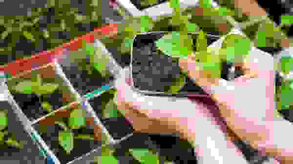 ΠΎΠ³ΡΡΡΡ ΡΠ΅ΡΠ½ΡΠ΅ ΠΌΠ°Π»Π΅Π½ΡΠΊΠΈΠ΅ Π±ΡΠΊΠ°ΡΠΊΠΈ. Π‘ΠΌΠΎΡΡΠ΅ΡΡ ΡΠΎΡΠΎ ΠΎΠ³ΡΡΡΡ ΡΠ΅ΡΠ½ΡΠ΅ ΠΌΠ°Π»Π΅Π½ΡΠΊΠΈΠ΅ Π±ΡΠΊΠ°ΡΠΊΠΈ. Π‘ΠΌΠΎΡΡΠ΅ΡΡ ΠΊΠ°ΡΡΠΈΠ½ΠΊΡ ΠΎΠ³ΡΡΡΡ ΡΠ΅ΡΠ½ΡΠ΅ ΠΌΠ°Π»Π΅Π½ΡΠΊΠΈΠ΅ Π±ΡΠΊΠ°ΡΠΊΠΈ. ΠΠ°ΡΡΠΈΠ½ΠΊΠ° ΠΏΡΠΎ ΠΎΠ³ΡΡΡΡ ΡΠ΅ΡΠ½ΡΠ΅ ΠΌΠ°Π»Π΅Π½ΡΠΊΠΈΠ΅ Π±ΡΠΊΠ°ΡΠΊΠΈ. Π€ΠΎΡΠΎ ΠΎΠ³ΡΡΡΡ ΡΠ΅ΡΠ½ΡΠ΅ ΠΌΠ°Π»Π΅Π½ΡΠΊΠΈΠ΅ Π±ΡΠΊΠ°ΡΠΊΠΈ ΠΎΠ³ΡΡΡΡ ΡΠ΅ΡΠ½ΡΠ΅ ΠΌΠ°Π»Π΅Π½ΡΠΊΠΈΠ΅ Π±ΡΠΊΠ°ΡΠΊΠΈ. Π‘ΠΌΠΎΡΡΠ΅ΡΡ ΡΠΎΡΠΎ ΠΎΠ³ΡΡΡΡ ΡΠ΅ΡΠ½ΡΠ΅ ΠΌΠ°Π»Π΅Π½ΡΠΊΠΈΠ΅ Π±ΡΠΊΠ°ΡΠΊΠΈ. Π‘ΠΌΠΎΡΡΠ΅ΡΡ ΠΊΠ°ΡΡΠΈΠ½ΠΊΡ ΠΎΠ³ΡΡΡΡ ΡΠ΅ΡΠ½ΡΠ΅ ΠΌΠ°Π»Π΅Π½ΡΠΊΠΈΠ΅ Π±ΡΠΊΠ°ΡΠΊΠΈ. ΠΠ°ΡΡΠΈΠ½ΠΊΠ° ΠΏΡΠΎ ΠΎΠ³ΡΡΡΡ ΡΠ΅ΡΠ½ΡΠ΅ ΠΌΠ°Π»Π΅Π½ΡΠΊΠΈΠ΅ Π±ΡΠΊΠ°ΡΠΊΠΈ. Π€ΠΎΡΠΎ ΠΎΠ³ΡΡΡΡ ΡΠ΅ΡΠ½ΡΠ΅ ΠΌΠ°Π»Π΅Π½ΡΠΊΠΈΠ΅ Π±ΡΠΊΠ°ΡΠΊΠΈ