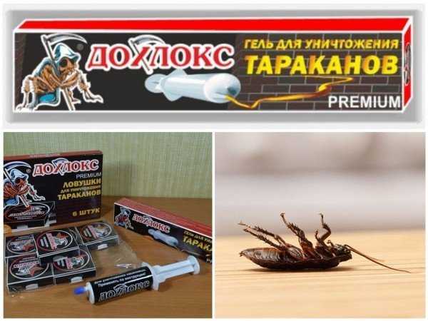 Применение средств Дохлокс от тараканов
