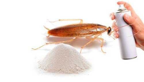 Как пользоваться дустом от тараканов