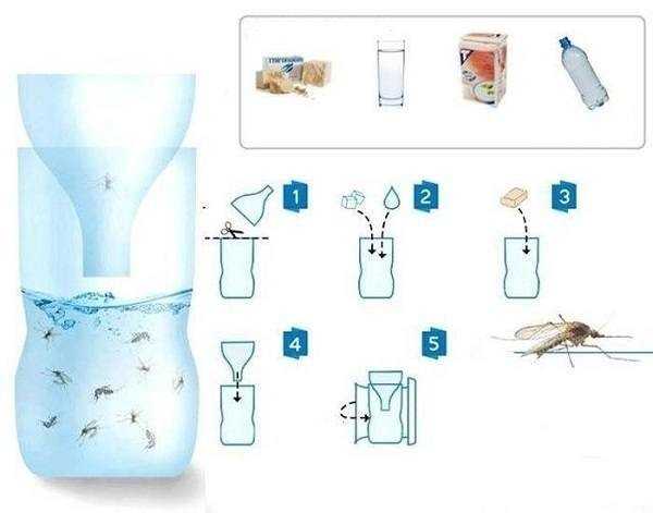 Как сделать ловушку для комаров из бутылки