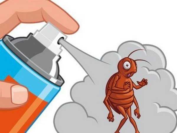 Избавляемся от домашних тараканов