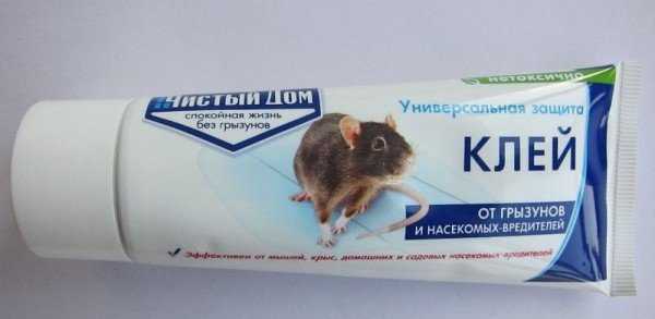Эффективность применения клея для мышей 