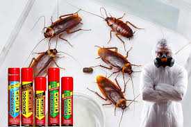 Дихлофос держим оборону от тараканов и прочей нечисти