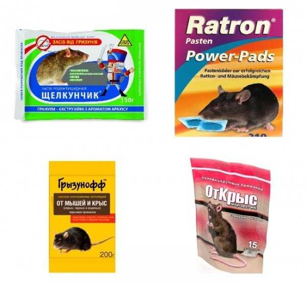 12 эффективных средств от мышей