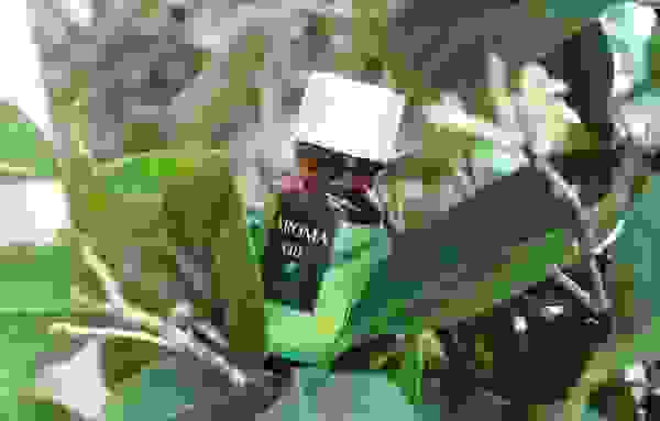 Какие эфирные масла отпугивают клопов и тараканов в квартире. Смотреть фото Какие эфирные масла отпугивают клопов и тараканов в квартире. Смотреть картинку Какие эфирные масла отпугивают клопов и тараканов в квартире. Картинка про Какие эфирные масла отпугивают клопов и тараканов в квартире. Фото Какие эфирные масла отпугивают клопов и тараканов в квартире Какие эфирные масла отпугивают клопов и тараканов в квартире. Смотреть фото Какие эфирные масла отпугивают клопов и тараканов в квартире. Смотреть картинку Какие эфирные масла отпугивают клопов и тараканов в квартире. Картинка про Какие эфирные масла отпугивают клопов и тараканов в квартире. Фото Какие эфирные масла отпугивают клопов и тараканов в квартире