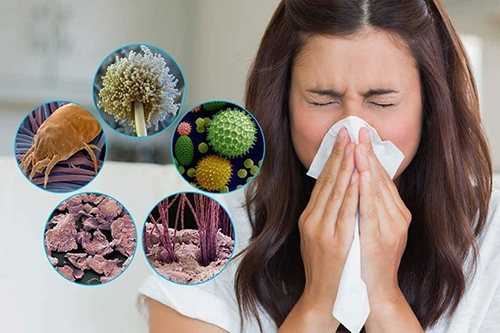 Симптомы и лечение аллергии на клеща в домашней пыли