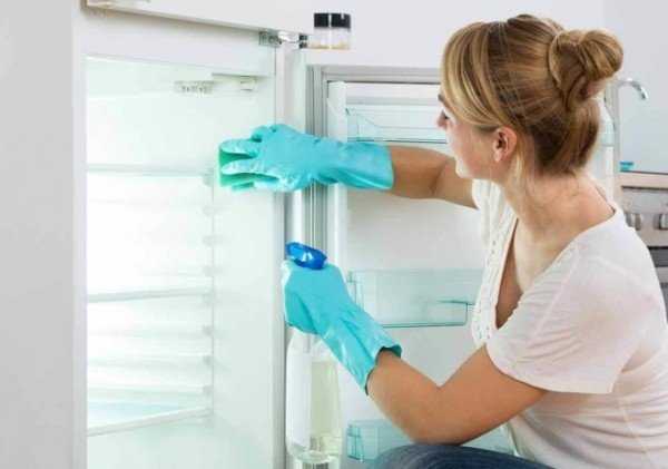 Тараканы в холодильнике — источники аварий и переносчики болезней