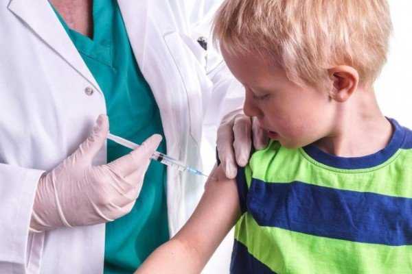 Прививка от клеща: показания, эффективность, особенности вакцинации