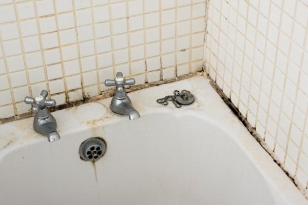 Как избавиться от плесени в ванной: причины появления и выведение