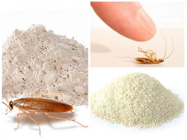 Эффективные инсектицидные средства для борьбы с тараканами в жилом помещении