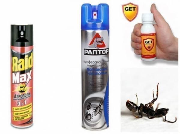 Причины появления муравьев в ванной и способы избавления от них
