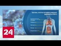 Влияние никотина на коронавирус