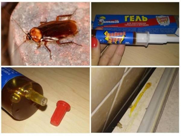 Гель Домовой от тараканов — действие, эффективность, инструкция, меры безопасности
