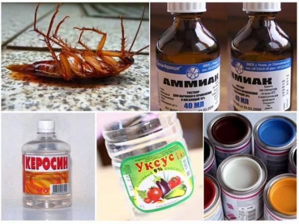 Эфирное масло против тараканов, какое масло они боятся больше?