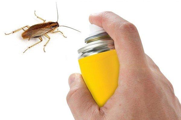 Что влияет на эффективность дихлофоса при травле тараканов?
