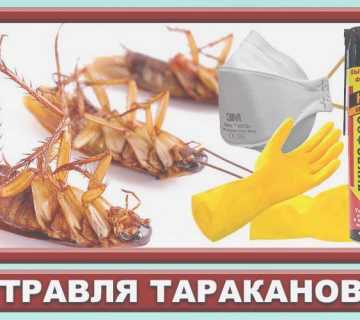 как избавиться от тараканов