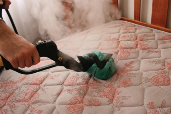 Фото пылевых, постельных домашних клещей под микроскопом, признаки наличия паразитов в доме