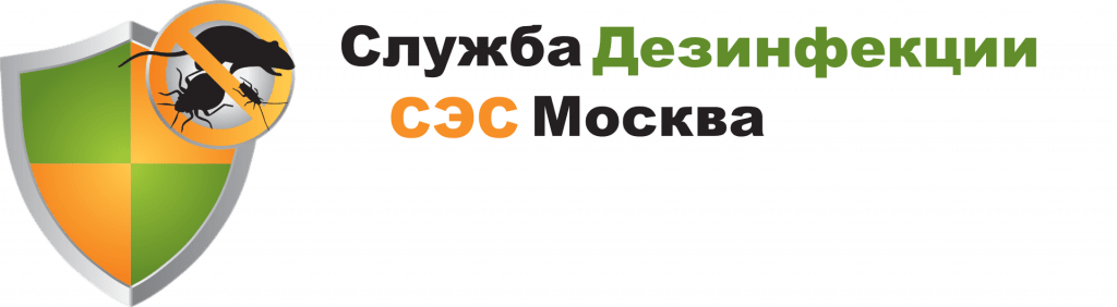 Сэс Москва