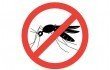Средство от мух в помещении - лучшие промышленные и народные способы для борьбы с насекомыми