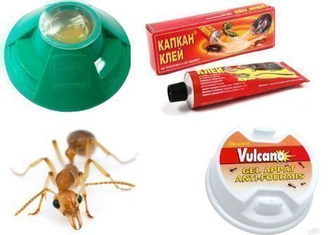 Эффективное средство для уничтожения муравьев