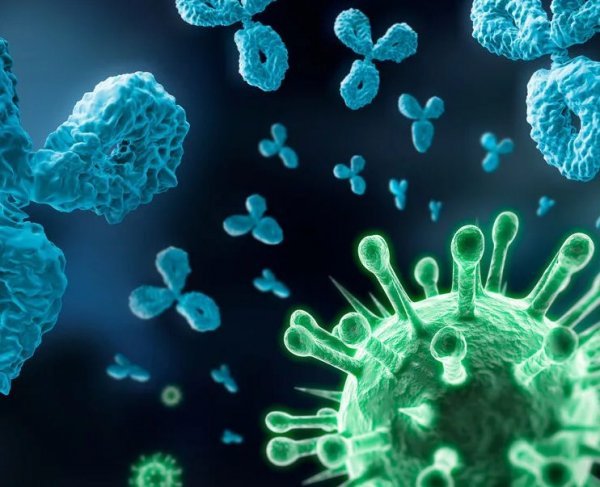 Клеточный иммунитет к коронавирусу – что это такое