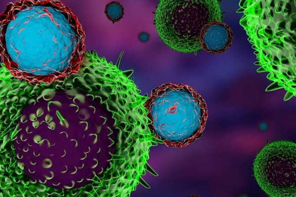 Клеточный иммунитет к коронавирусу – что это такое