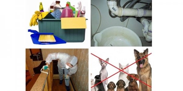 Чистый дом от клопов: средства от насекомых и отзывы